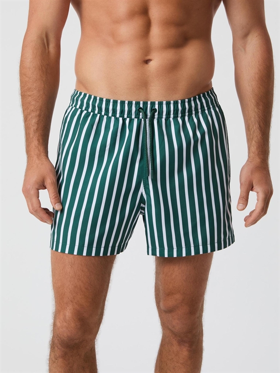 BJÖRN BORG Print Swim Shorts - Green Wide Stripe	