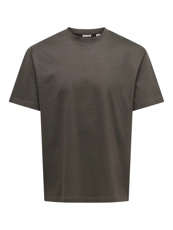 ONLY & SONS Fred Life RLS SS T-shirt - Beluga