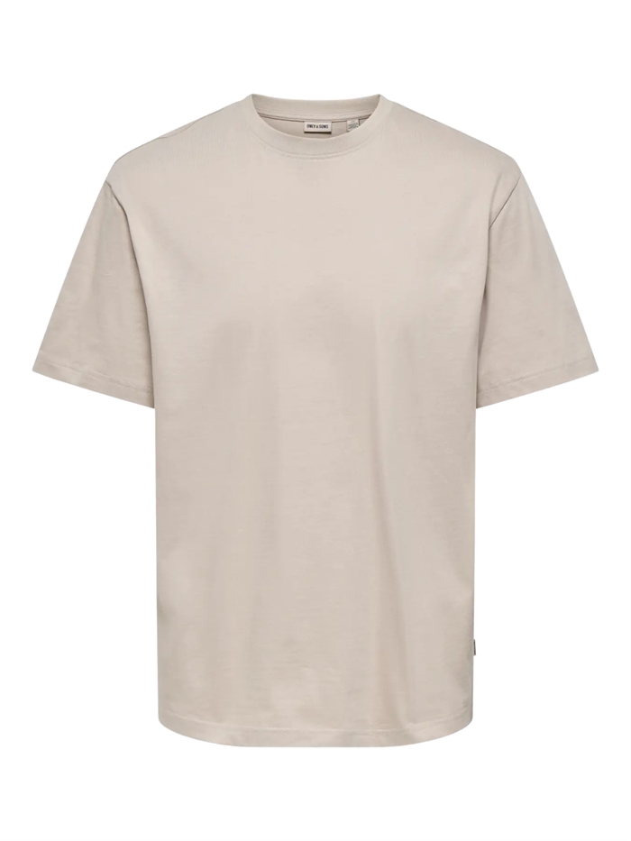 ONLY & SONS Fred Life RLS SS T-shirt - Silver Lining