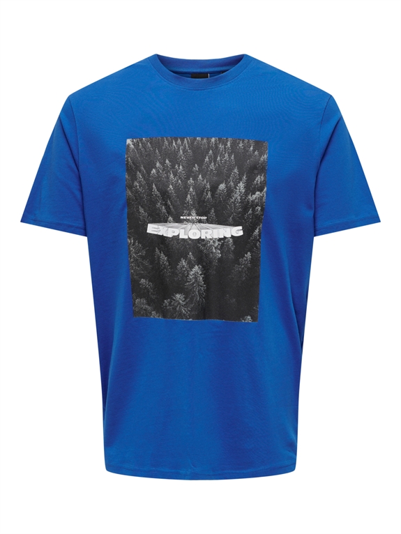 ONLY & SONS Soren Reg Photoprint SS T-shirt - Baleine Blue