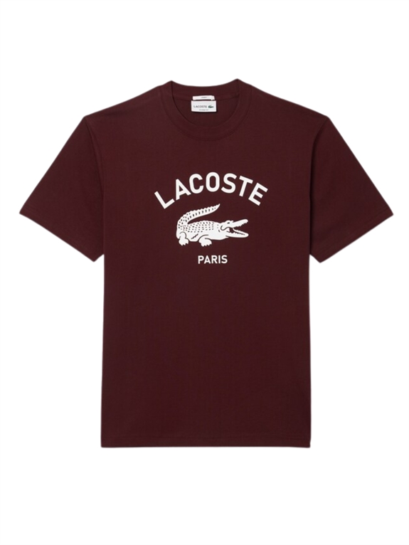 Lacoste Signature Print Cotton T-shirt - Bordeaux